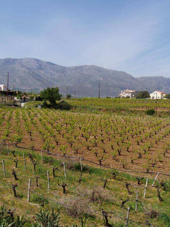 Christina Villas- Minoan Inland Pendamódi Kültér fotó